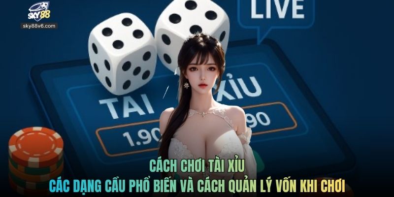 Cách chơi tài xỉu các dạng cầu phổ biến và cách quản lý vốn khi chơi