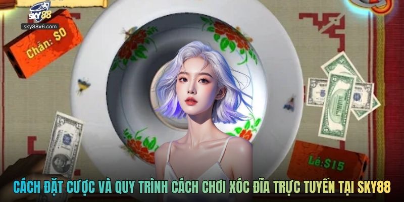 Cách đặt cược và quy trình cách chơi xóc đĩa trực tuyến tại Sky88