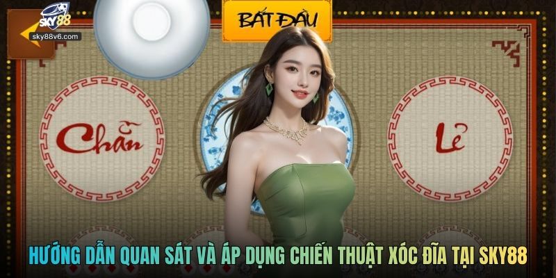Hướng dẫn quan sát và áp dụng chiến thuật xóc đĩa tại Sky88