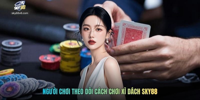 Người chơi theo dõi cách chơi Xì Dách Sky88